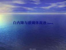 2022年医学专题—白内障-玻璃体混浊