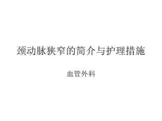 颈动脉狭窄
