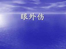 眼外伤PPT课件