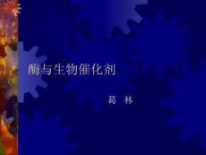 03酶與生物催化劑.ppt