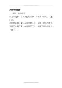 2023年整理肩部疼痛图解