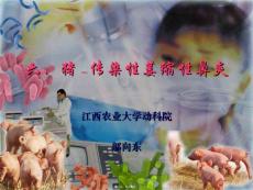 猪传染性萎缩性鼻炎ppt课件