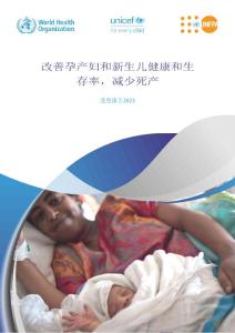 世界卫生组织-进度报告2023：改善孕产妇和新生儿健康和生存率并减少死产 （英译中）