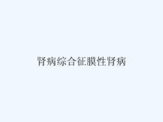 肾病综合征膜性肾病ppt