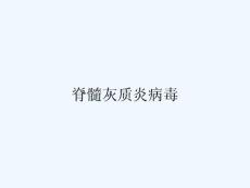 脊髓灰质炎病毒ppt