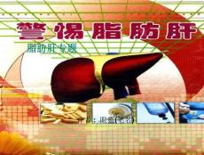 脂肪肝专题