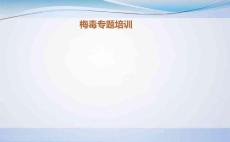 梅毒专题培训