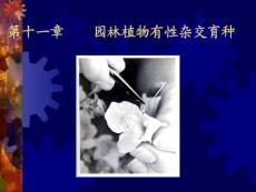 园林植物育种学（二）- (11)