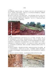 高中地理教材土壤归纳