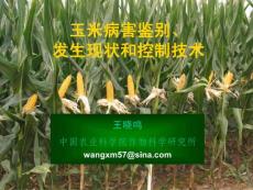中国玉米病害现状、识别与抗病性研究