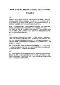 MAPK信号通路在Hcy介导的酒精性心肌病机制中的研究的综述报告