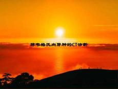 《肺韦格氏肉芽肿的CT诊断》教案模板