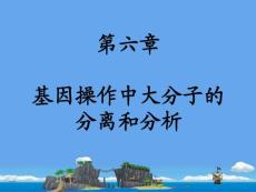 第六章+基因操作中大分子的分离和分析