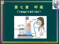 【医学ppt课件】呼吸系统生理功能与调节