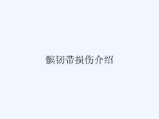 髌韧带损伤介绍