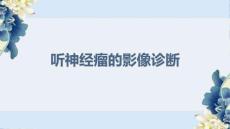 听神经瘤的影像诊断