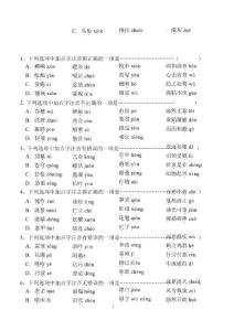 中考语文字音训练选择题