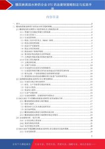 糖尿病黄斑水肿药企业OTC药品营销策略制定与实施手册