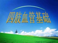 四肢血管基础