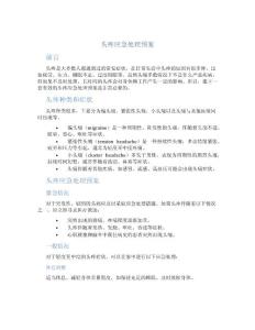 头疼应急处理预案