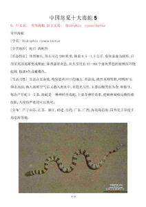 中国常见十大毒蛇5