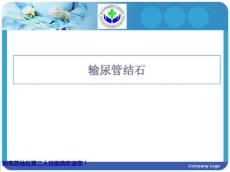 输尿管结石PPT