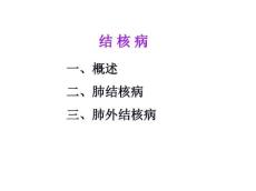 概述肺结核病肺外结核病