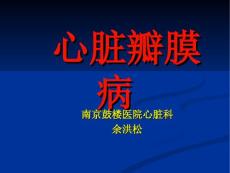 心脏瓣膜病
