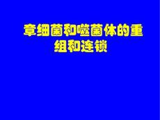 第七章  細菌和噬菌體的重組和連鎖