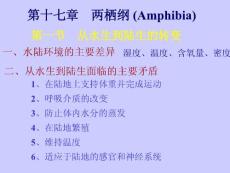 兩棲綱.ppt