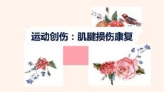 运动创伤：肌腱损伤康复