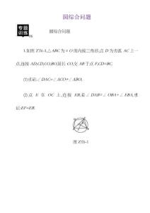 湖南省中考數(shù)學(xué)總復(fù)習(xí)專題訓(xùn)練06圓綜合問(wèn)題練習(xí)