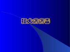 狂犬病病毒