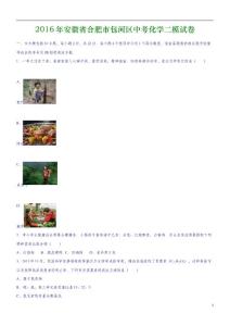 安徽省合肥市包河區(qū)2016年中考化學(xué)二模試卷（含解析）