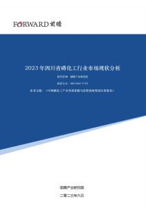 2023年四川省磷化工行業(yè)市場現(xiàn)狀分析