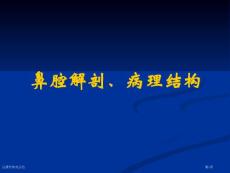 过敏性鼻炎总结