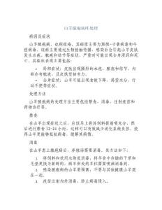 山羊脓疱病咋处理