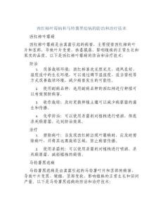 西红柿叶霉病和马铃薯黑痣病的防治和治疗技术