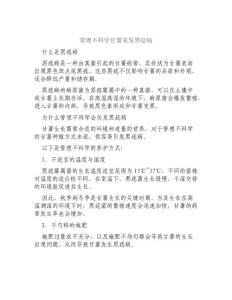 管理不科学甘薯易发黑痣病