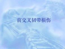 前交叉韧带损伤