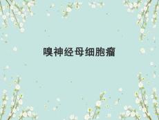 嗅神经母细胞瘤影像诊断