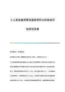 小儿肾盂输尿管连接型肾积水的临床评估研究进展