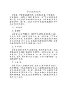 香蕉加肥灌溉技術(shù)