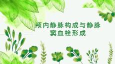 颅内静脉构成与静脉窦血栓形成影像诊断