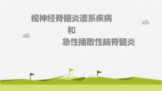 视神经脊髓炎及急性播散性脑脊髓炎