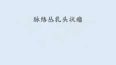 脉络丛乳头状瘤影像