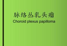 脉络丛乳头状瘤影像
