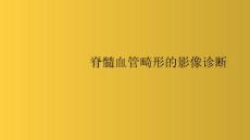 脊髓血管畸形影像