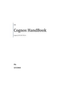 Cognos 8 Handbook技術總結手冊