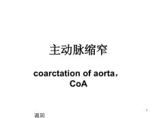 主动脉缩窄课件